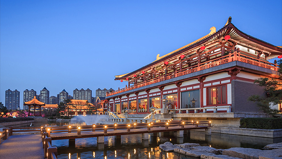 沉浸式夜游