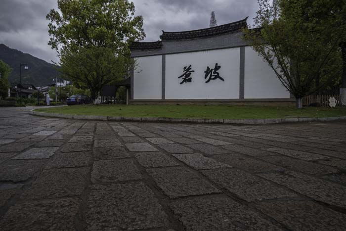 DSC_1819-編輯